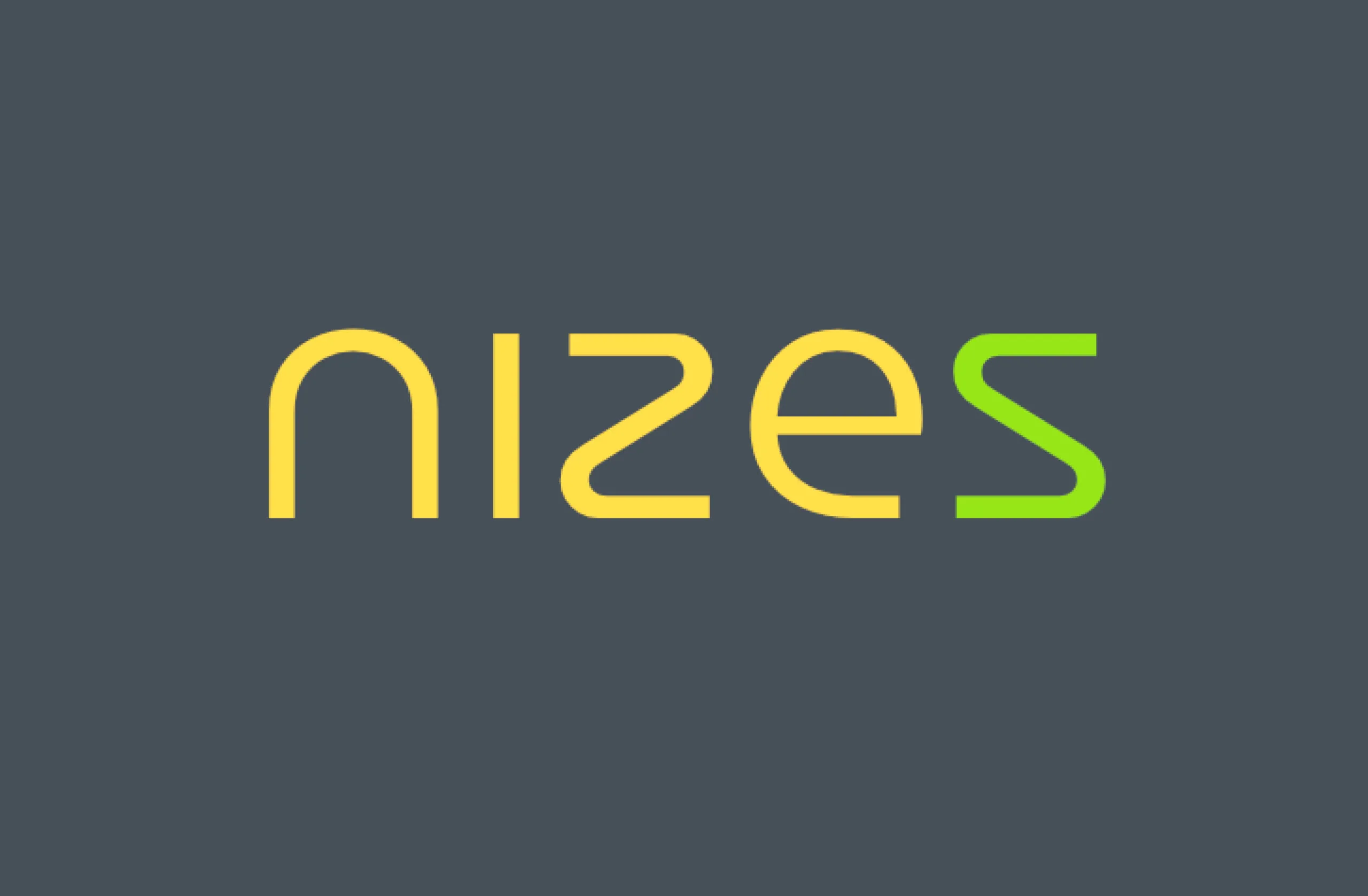 PROJEKT: NIZES